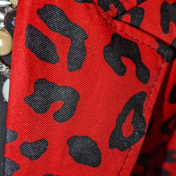 Red Hot leopard - Picture 2 of 4